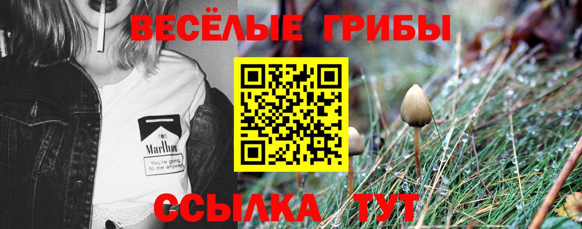 Благодарный  Псилоцибиновые грибы Psilocybe  Вход с VPN 