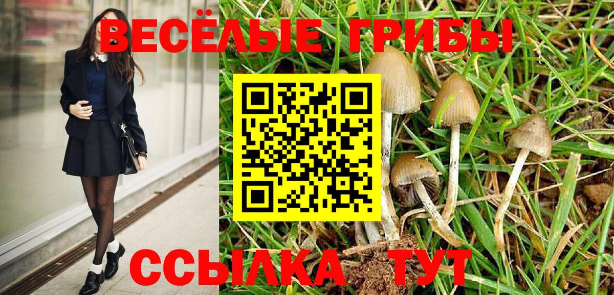 Псилоцибиновые грибы Cubensis Благодарный